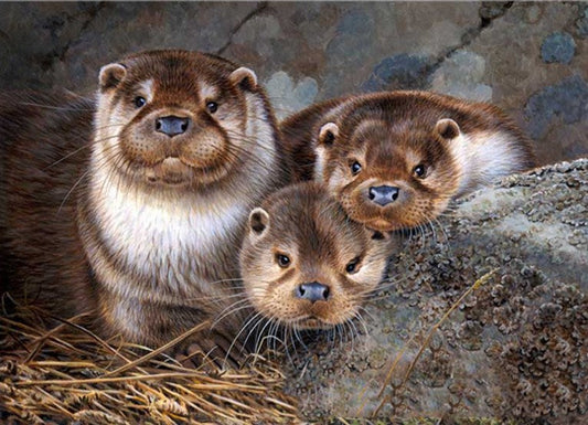 Cute Otter Babies Paint by Diamonds