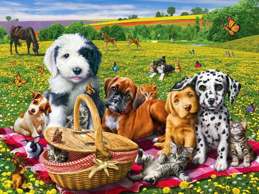 Dogs & Cats on Picnic Diamond Painting