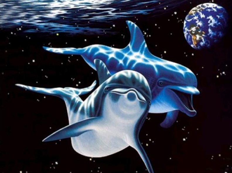 Dolphins Swimming in Space Diamond Painting