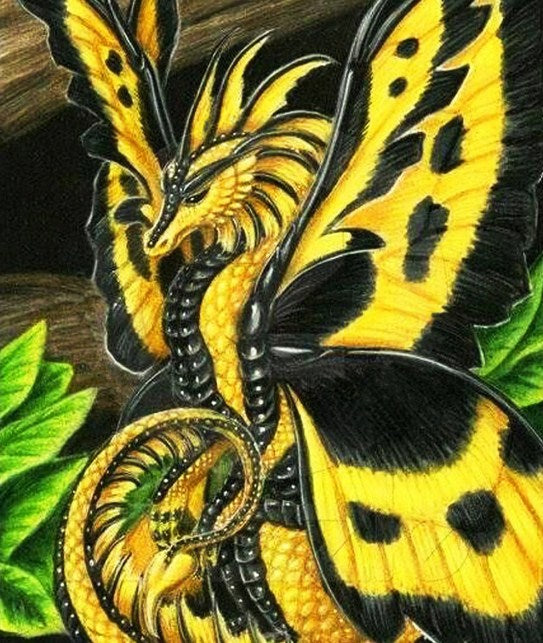Dragon Butterfly Paint by Diamonds