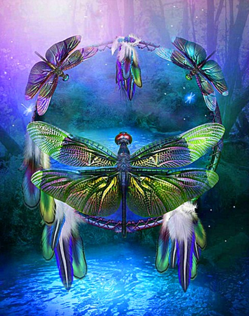 Dragon Fly Dream Catcher Paint by Diamonds