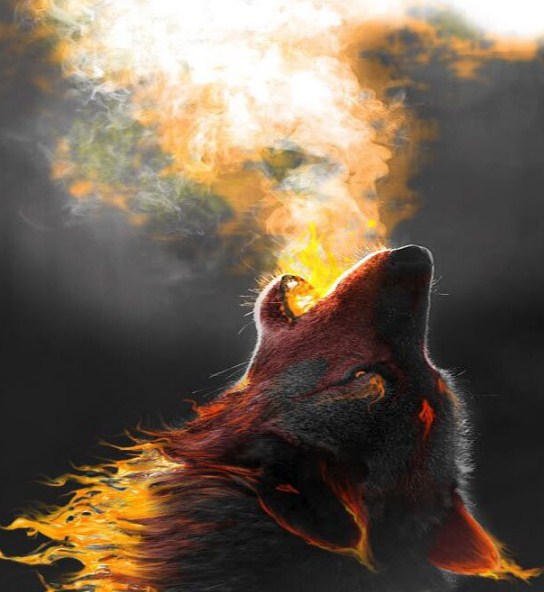 Dragon Wolf Blowing Fire Diamond Painting