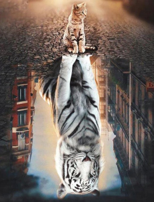 Dream Big Paint by Diamonds