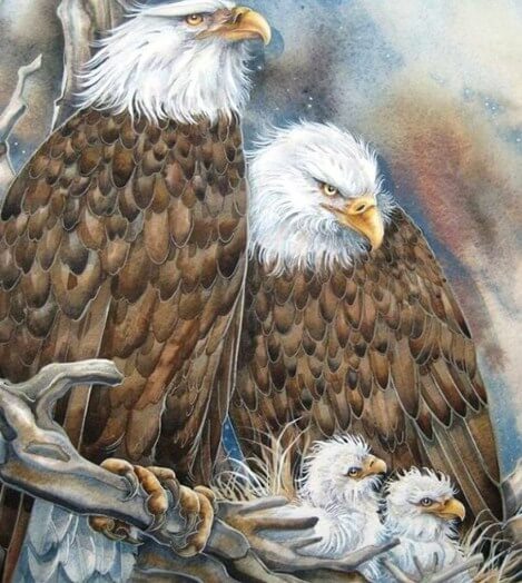 Eagle Family Paint by Diamonds