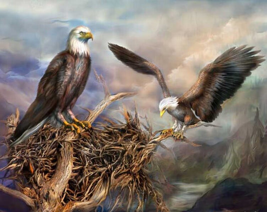 Eagle Nest Paint by Diamonds