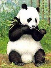 Eating panda diamond painting kit by All Diamond Painting