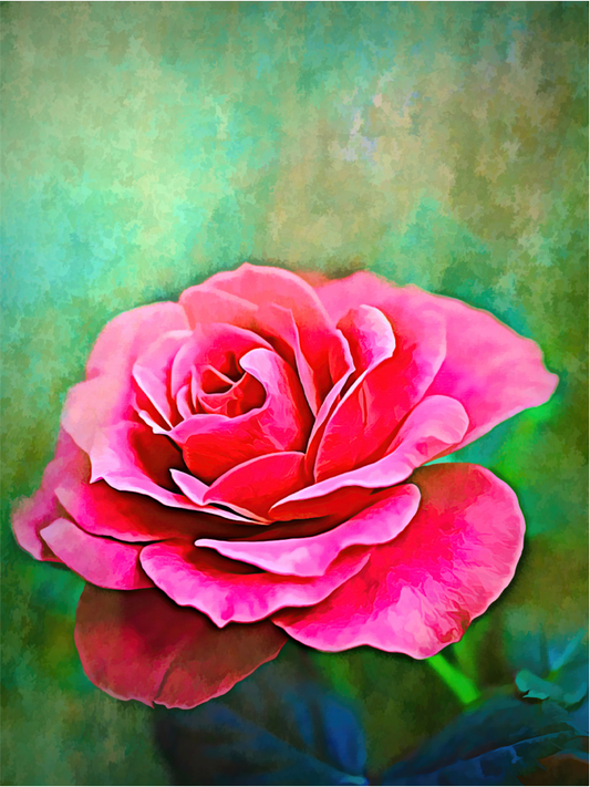 Exquite Pink Rose - Art by Denise Dundon