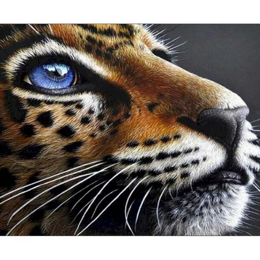 Eye of jaguar diamond painting