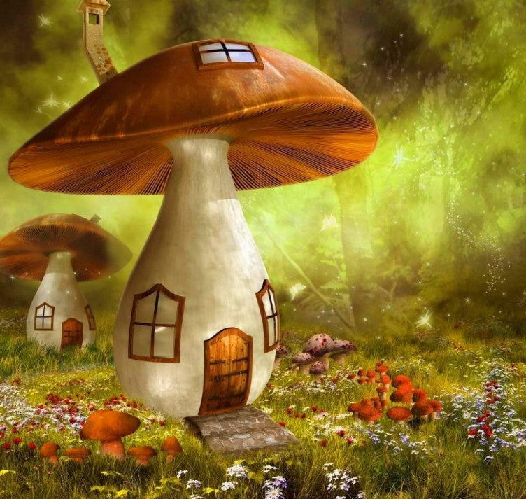 Fantasy Mushroom House Paint by Diamonds