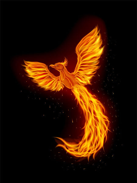 Fire Phoenix- Paint With Diamonds