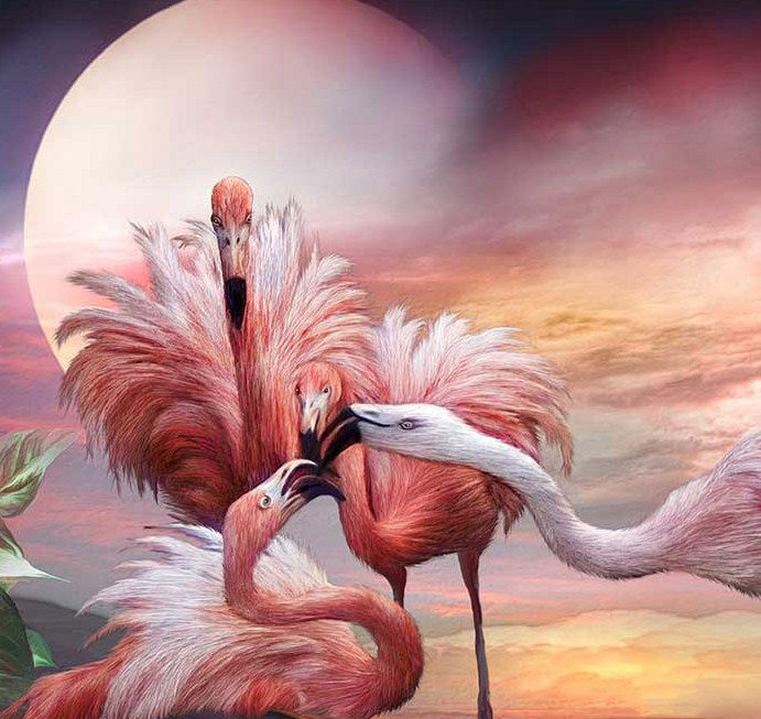 Flamingos Kiss Diamond Painting Kit