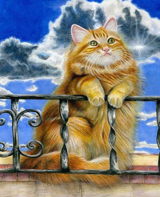 Fluffy Brown Cat Paint by Diamonds