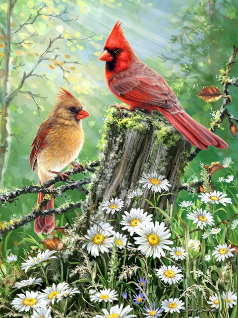 Forest birds diamond painting kit