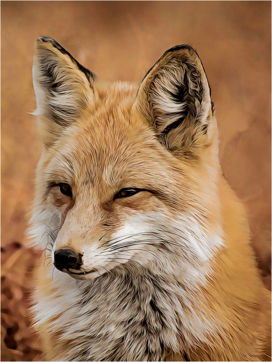 Fox - Art by Denise Dundon