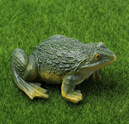Frog Diamond Painting Kit