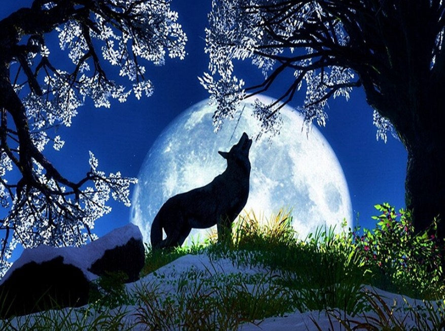 Full Moon & Howling Wolf Diamond Painting