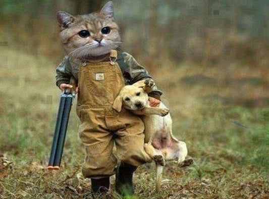 Gangster Cat & Puppy Paint by Diamonds