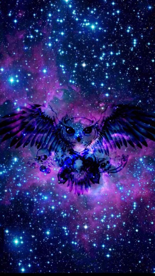 diamond painting owl