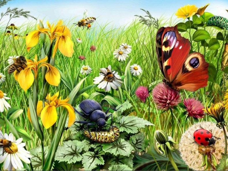 Garden with Insects Diamond Painting Kit