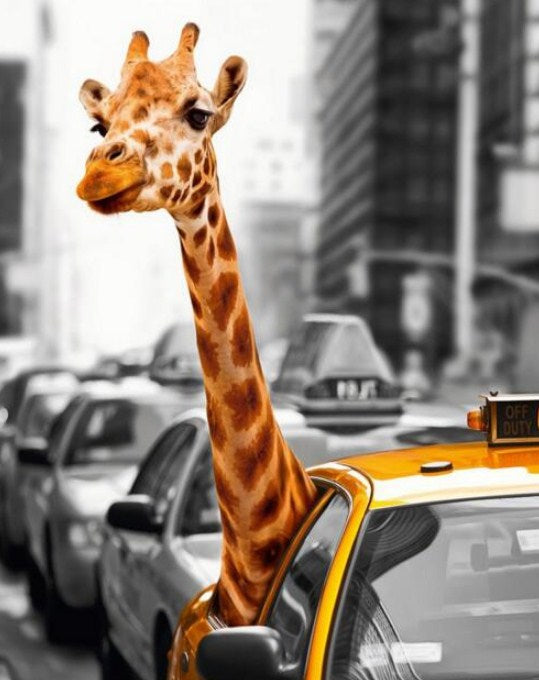 Giraffe in Taxi Paint by Diamonds