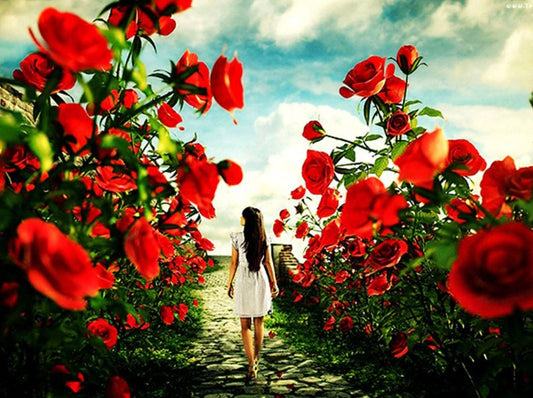 Girl Walking in Rose Garden Diamond Painting