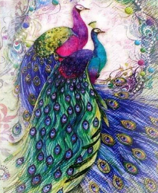Gorgeous Peacocks Paint by Diamonds