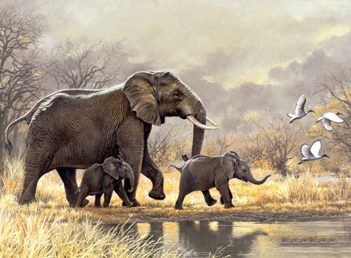 Happy Elephant Family Diamond Painting