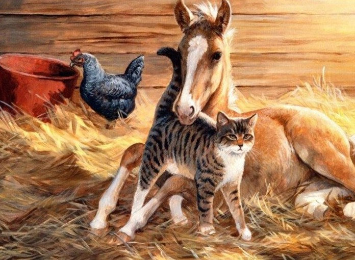 Horse, Cat & Chicken Paint by Diamonds