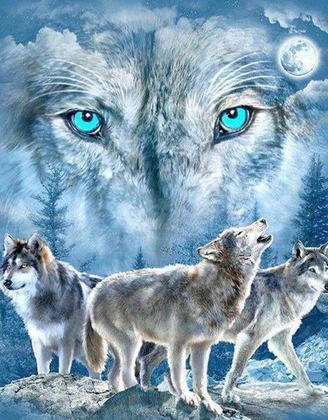 5d Wolf Diamond Painting