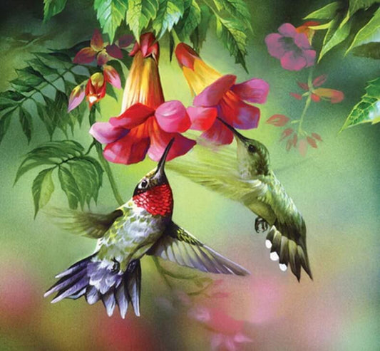 Humming Birds Painting Kit