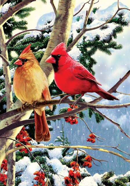 Humming bird couple diamond painting