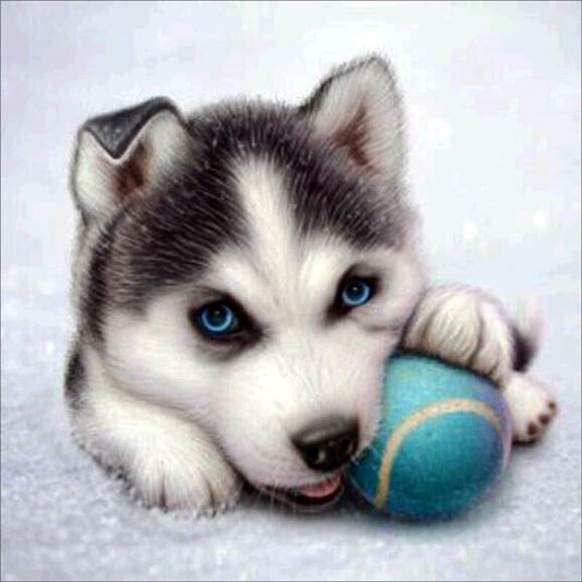 Husky Puppy Diamond Painting Kit