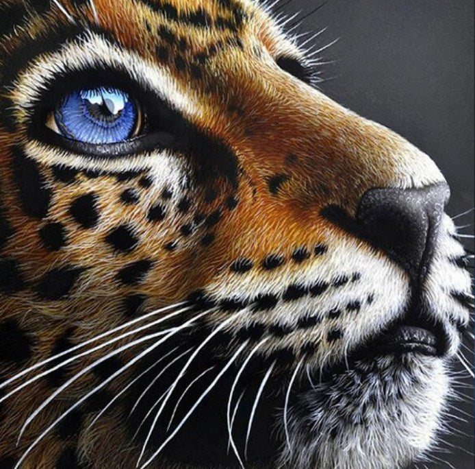 Jaguar Cub Paint by Diamonds