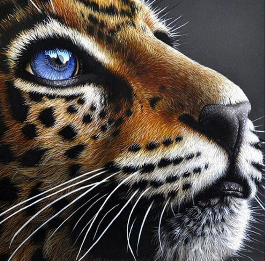 Jaguar Cub Paint by Diamonds