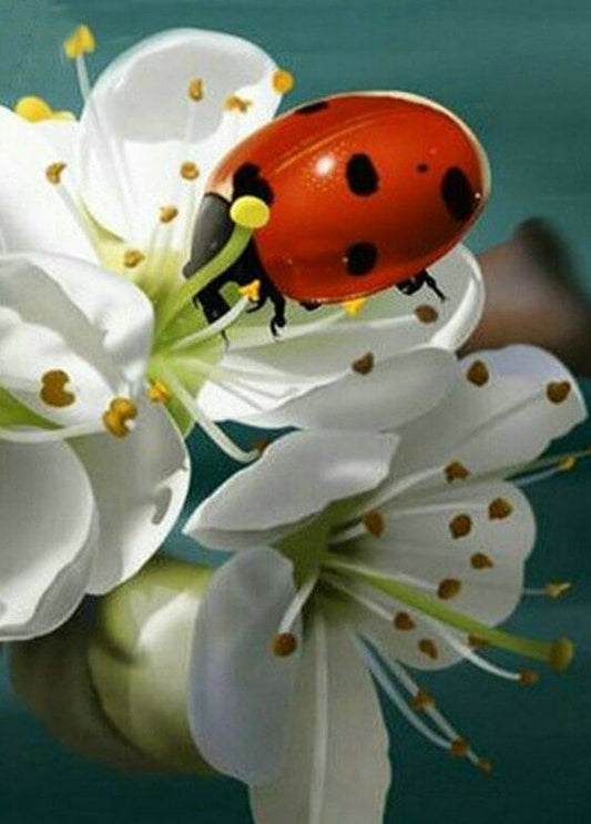 Lady Bug Diamond Painting