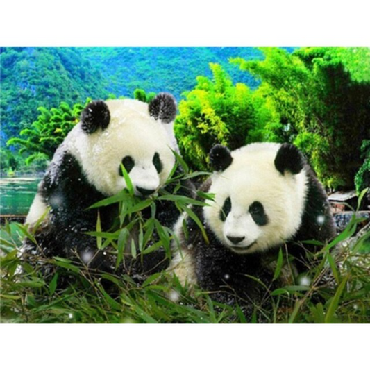 Hoobee Diamond Painting Panda, Diamond Painting Kit Completo