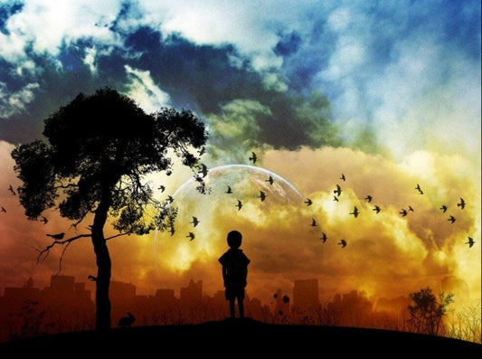 Little Kid Watching Flying Birds Diamond Painting