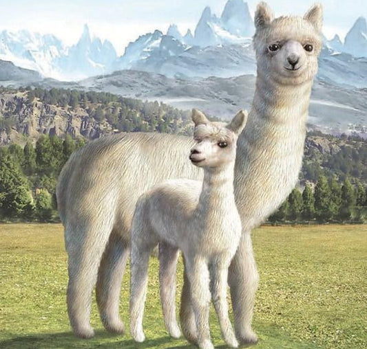 Llama Diamond Painting Kit