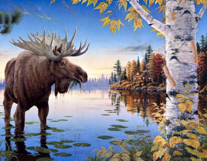 Lonely Moose Diamond Painting Kit