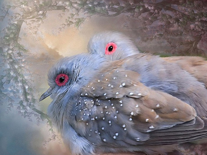 Lovely Dove Pair Paint by Diamonds