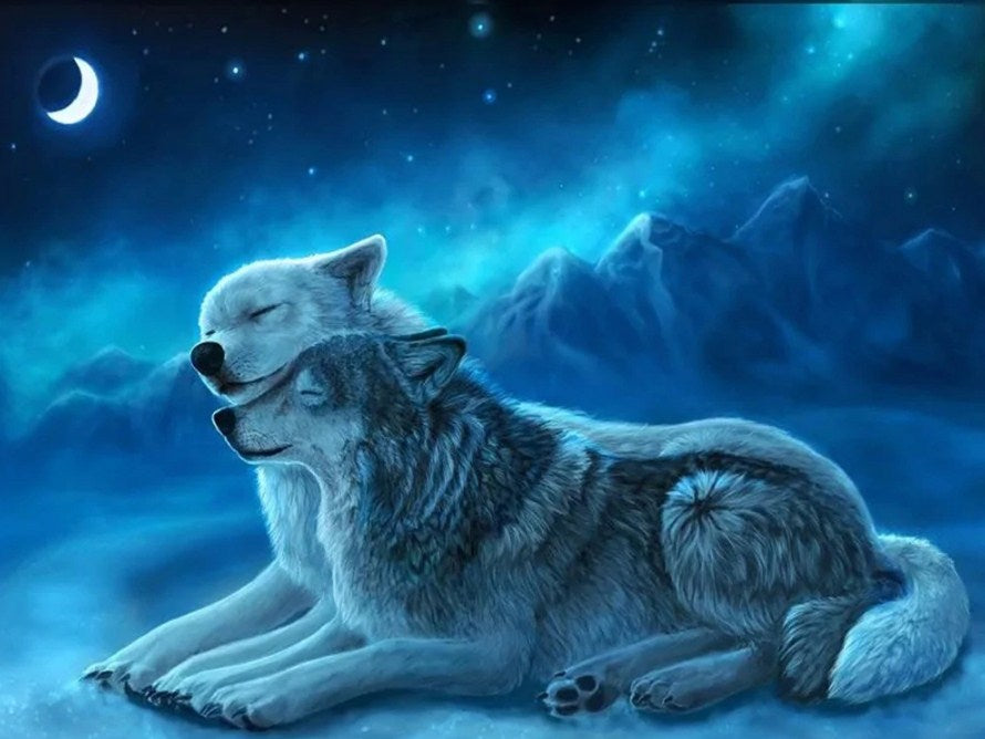 Loving Wolf Pair in Peaceful Night Diamond Painting