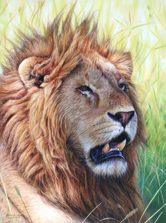 Lion Flemming