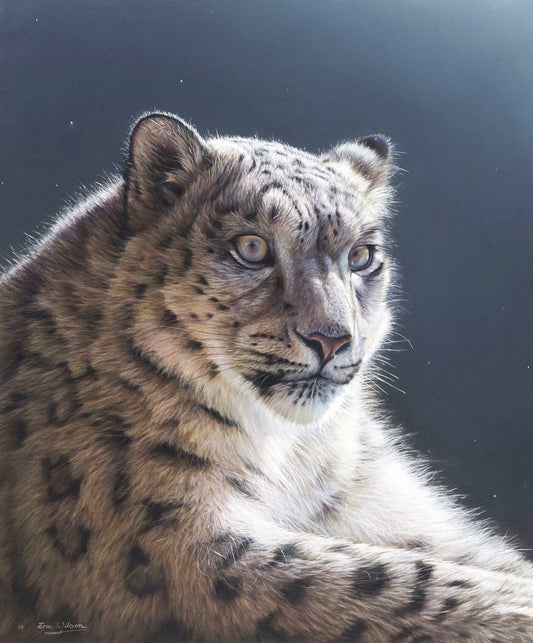 Snow Leopard