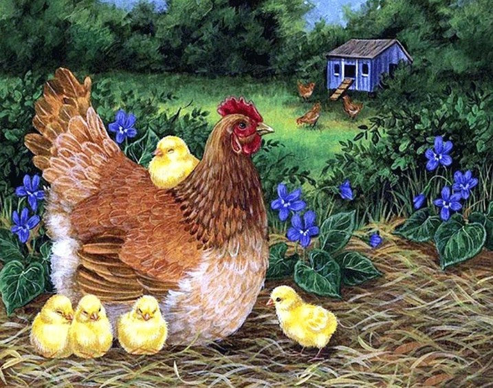 Mother Hen with Little Chicks Diamond Painting