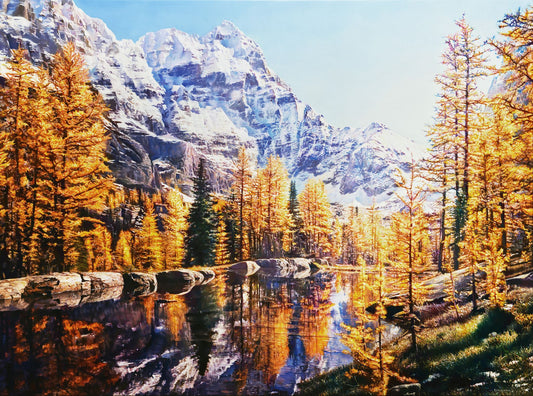 Mountain Color