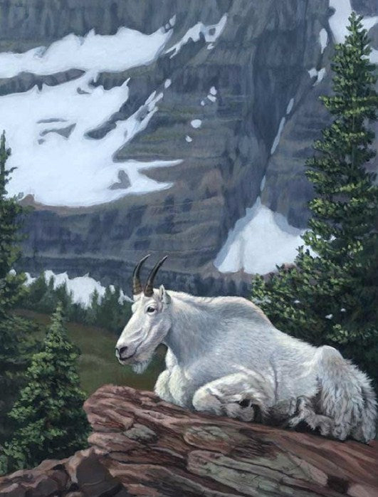 Mountain Goat Paint by Diamonds