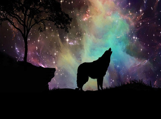 Northern Lights & Howling Wolf Diamond Painting