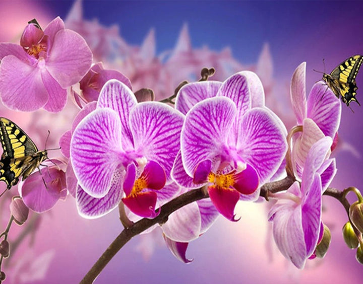 Orchids Diamond Paintings – All Diamond Painting