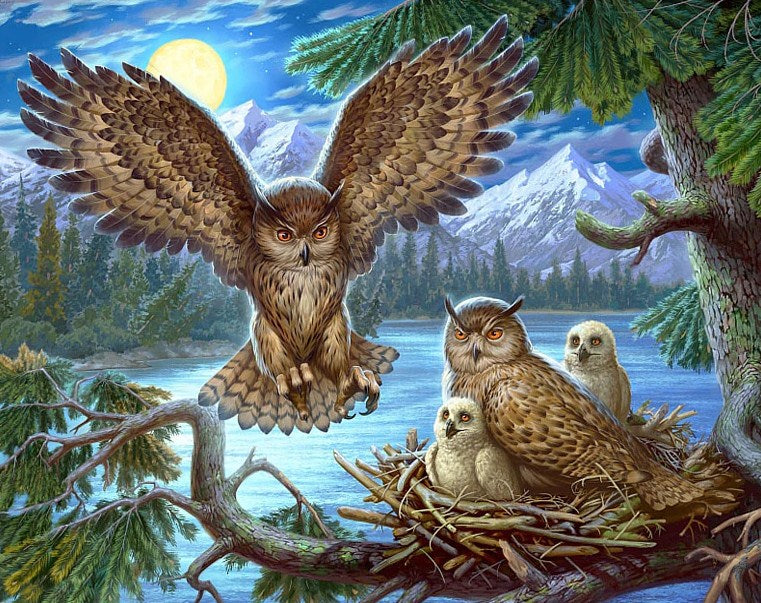 Owl Flying Back to Nest Diamond Painting Kit