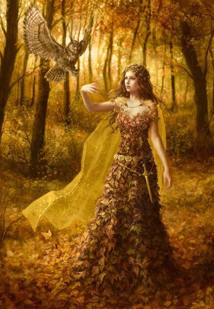 Owl Lady Paint by Diamonds